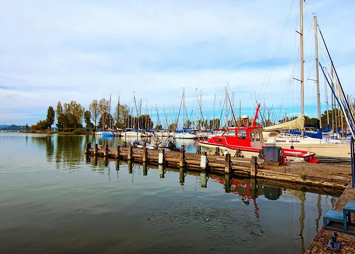 In 48120 Dom wakacyjny Balatonszarszo